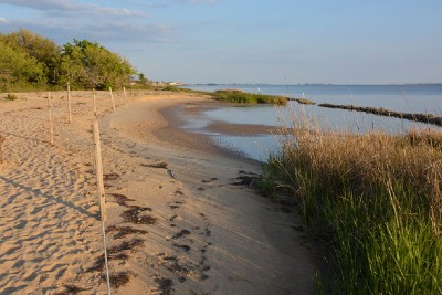 Nags Head Woods Ecological Preserve | Outer Banks Activities | Carolina Designs