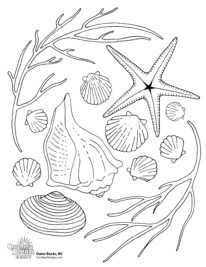 A printable coloring page of various sea shells