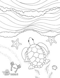 A printable coloring page of a turtle returning to the sea