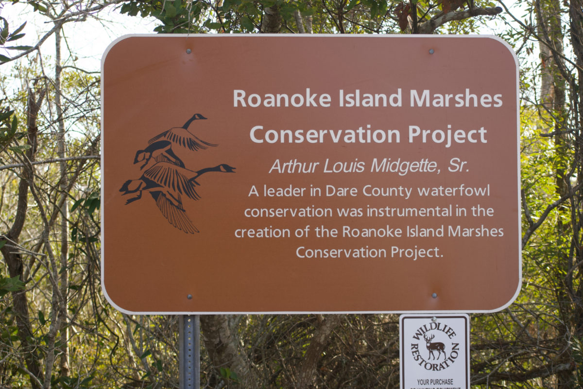 Roanoke Island Marshes Midgett Impoundment Birders Paradise | Outer Banks Activities | Carolina Designs