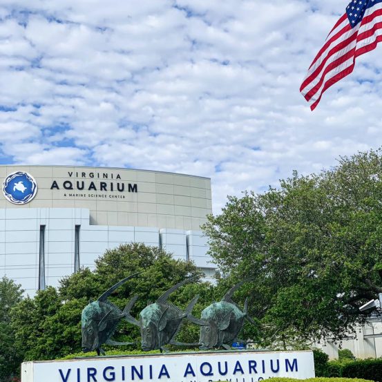 Virginia Aquarium Marine Science Center